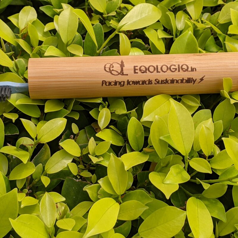 Toothbrush Travel Case / Tube